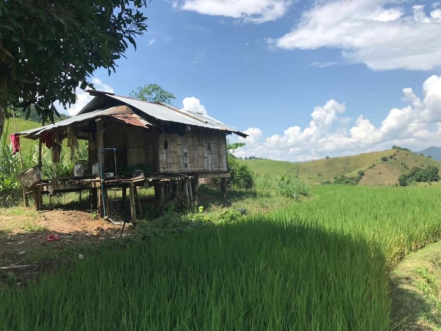 image n.3 of Chiang Rai Trek: 4 Hilltribes Villages & Waterfall Only Walk activity in Chiang Rai, uploaded by supplier