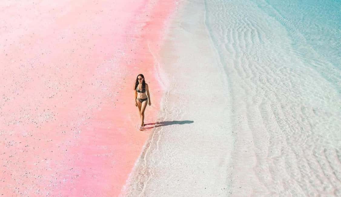 Obraz nr 10 z atrakcji Ekskluzywna jednodniowa wycieczka na różową plażę Lombok i 3 Gilis w Indonezja, przesłany przez organizatora
