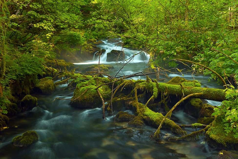 image n.4 of Plitvice Lakes Private Guided Tour activity in Zagreb County, uploaded by supplier