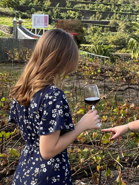 imagem n.15 de Toscana: Siena, San Gimignano e Chianti Wine Tour atividade em San Gimignano, carregada pelo fornecedor