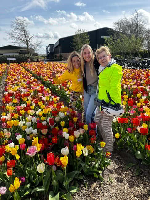 image n.41 of From Lisse: Keukenhof Flower Fields Bike Tour activity in Lisse, uploaded by supplier