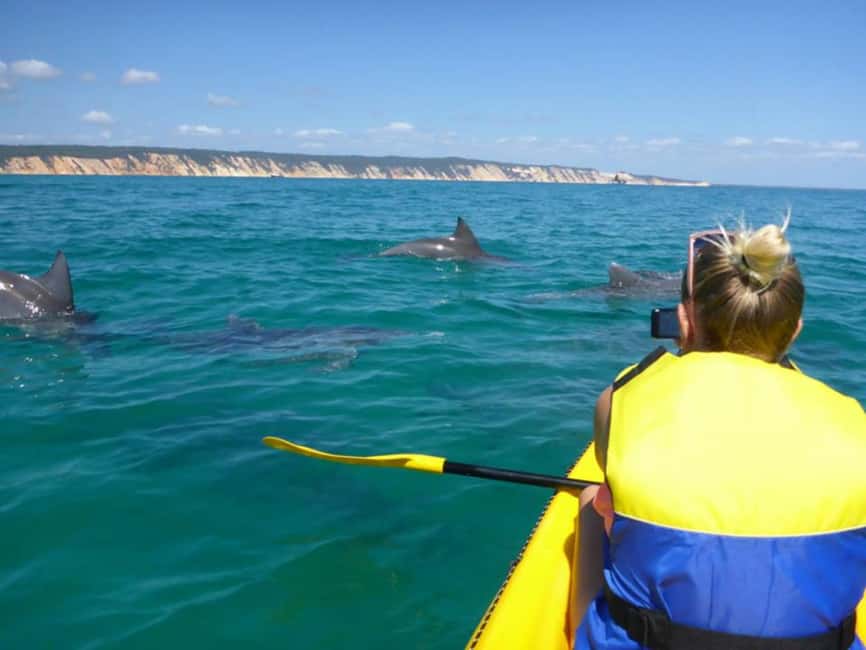 Image N°7 de Excursion en kayak à la rencontre des dauphins et visite du parc national en 4X4 sur la plage (privée) activité à Région de Gympie, publiée par le prestataire