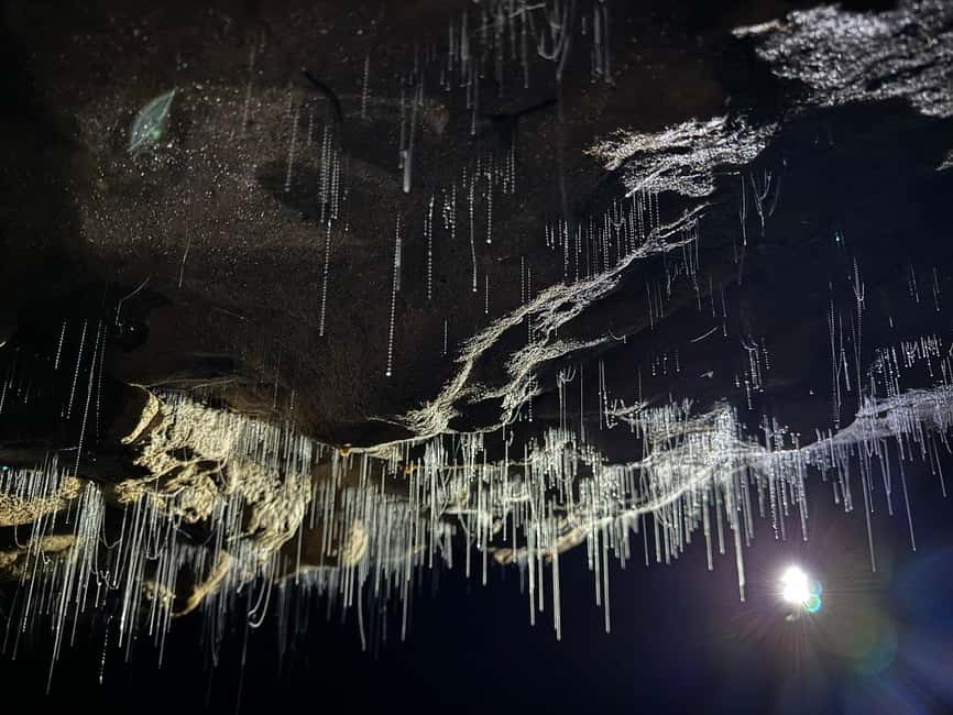 image n.2 of Auckland: Waitomo Glowworm Caves Explorer Small Group Tour activity in Waitomo, uploaded by supplier