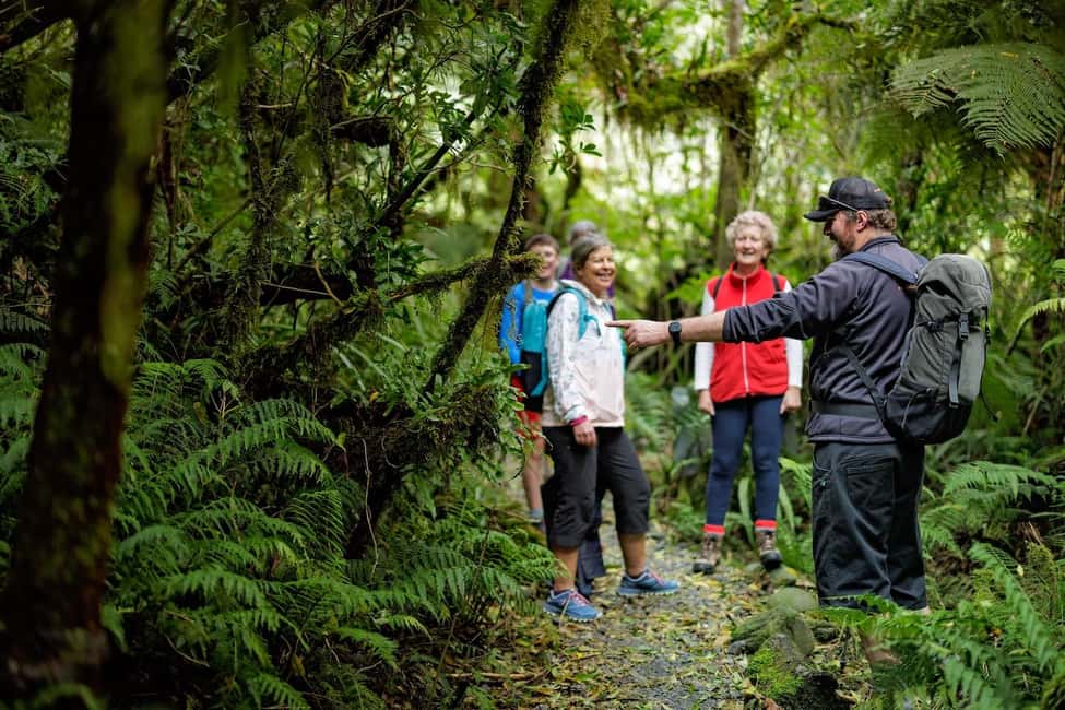 image n.17 of Franz Josef: Franz Josef Glacier Lookout Guided Walk activity in Franz Josef Town, uploaded by supplier