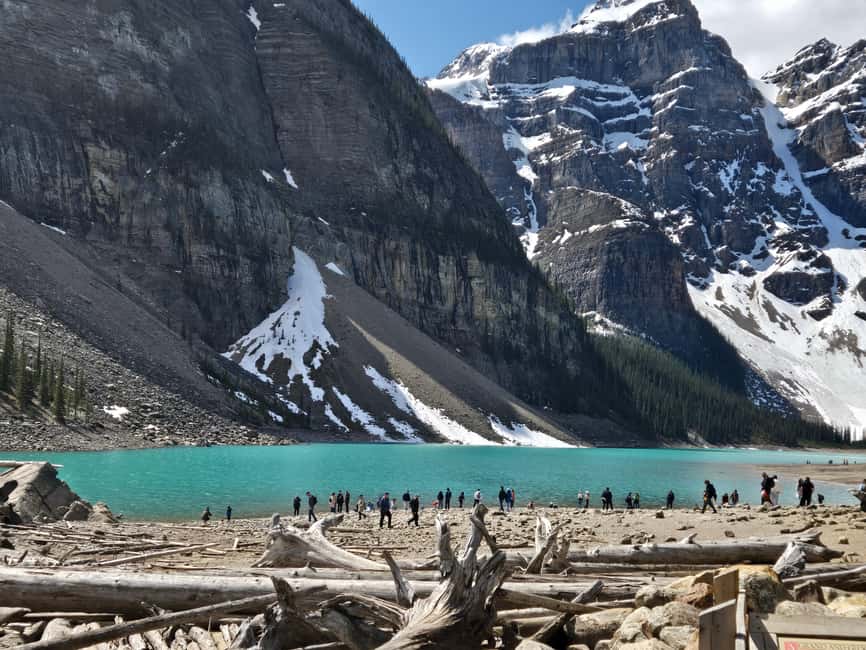 image n.4 of From Banff: Moraine Lake and Lake Louise Half Day Tour activity in British Columbia, uploaded by supplier