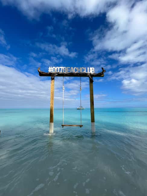 Image N°25 de Nassau : Cochons, plongée en apnée, tortues, déjeuner, club de plage privé activité à New Providence, publiée par le prestataire