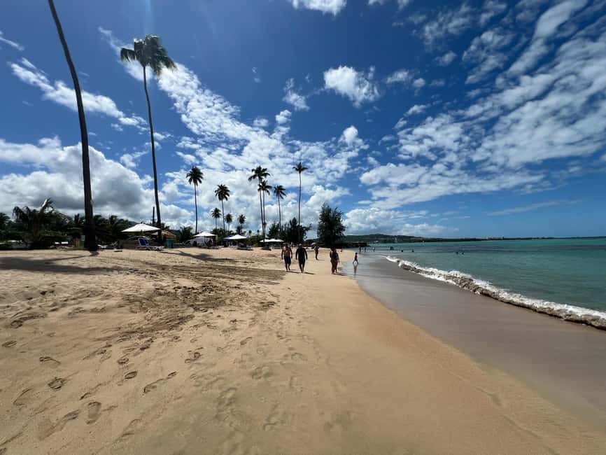 Obraz nr 30 z atrakcji Las deszczowy El Yunque; zjeżdżalnie wodne, plaża, posiłek i wycieczka po sklepach w Río Grande, Portoryko, przesłany przez organizatora