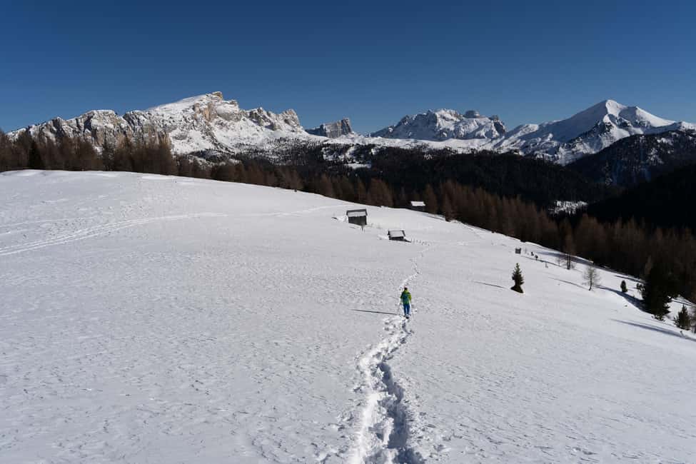 billede nr.6 af aktiviteten En dags vandring med snesko for at opdage Dolomitterne i Mareson, uploadet af udbyder
