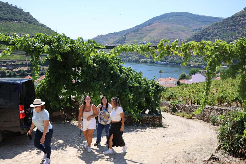 image n.36 of Porto: Douro Valley with Small Wineries, Lunch and Boat Tour activity in Norte Region, uploaded by supplier