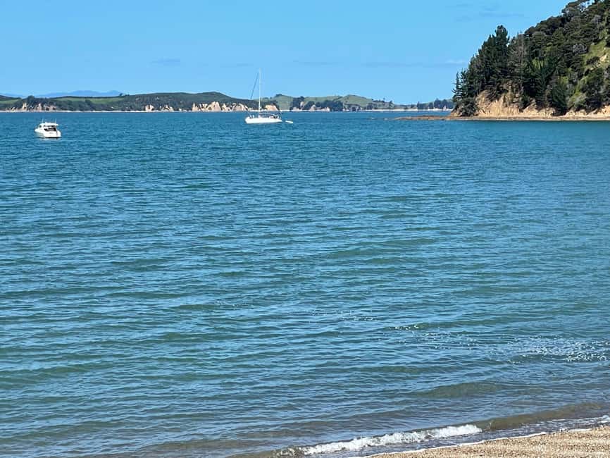 billede nr.7 af aktiviteten Auckland: Waiheke Island Luxury Experience Private Tour i Nordøen, uploadet af udbyder