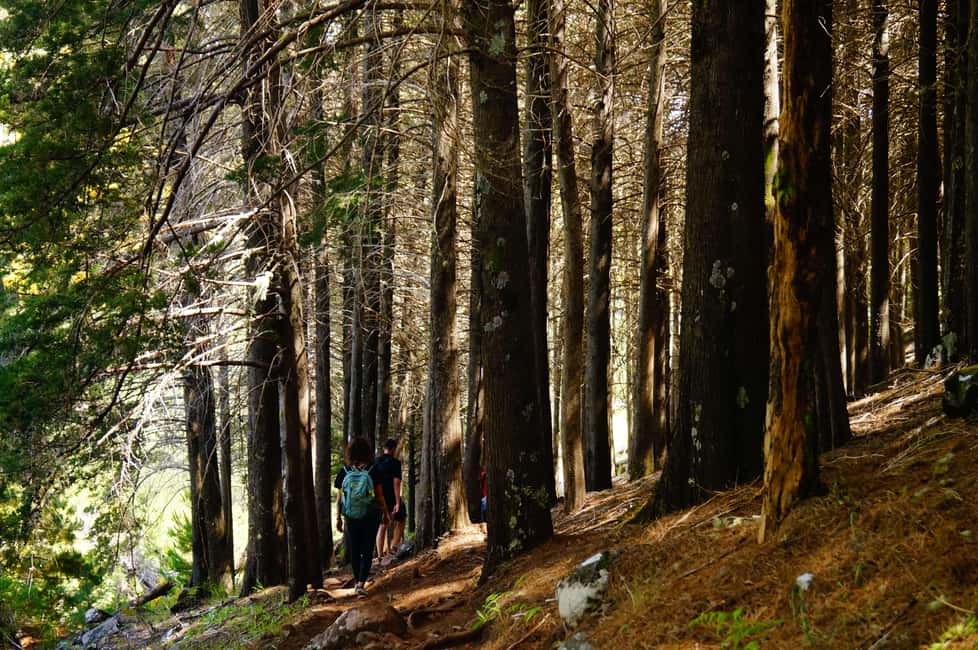 billede nr.6 af aktiviteten Madeira: Solopgang ved Pico do Arieiro + 2 vandreture - PR1 og PR3 i Curral das Freiras, uploadet af udbyder