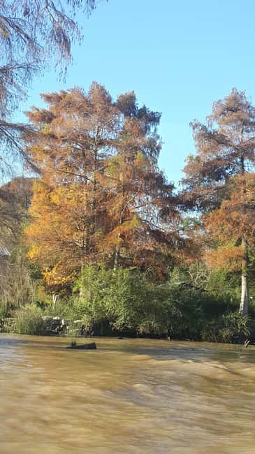 imagen n.º 9 de Buenos Aires: Ticket de entrada - Clásico tour en barco por el Delta del Tigre actividad en Tigre, Argentina, subida por el proveedor