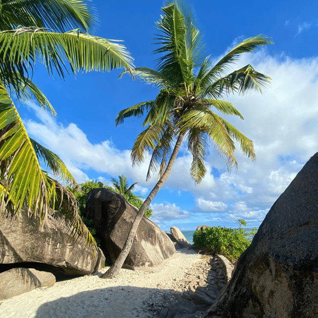image n.12 of From Mahe: Praslin and La Digue Tour with Transfer and Lunch activity in Grand Anse, uploaded by supplier