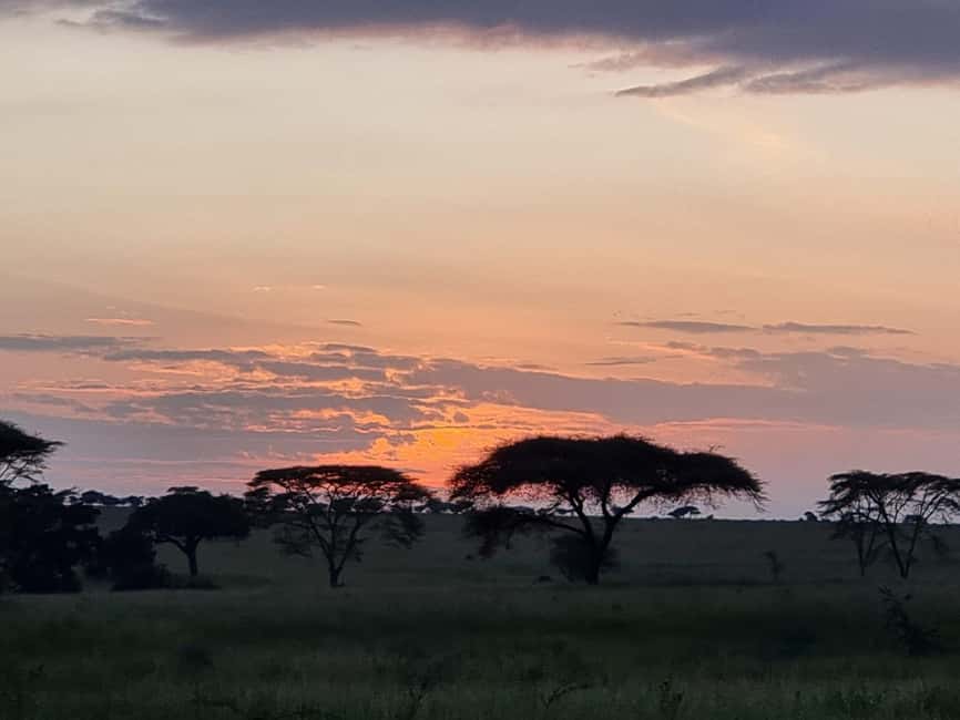image n.14 of Serengeti: 3-Day Migration Safari with Hot Air Balloon Ride activity in Mara Region, uploaded by supplier