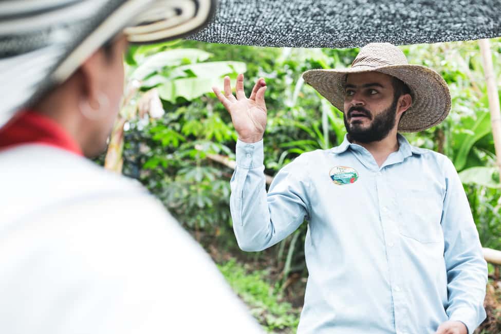 imagem n.30 de Medellín: Tour do café, chegada a cavalo e cana-de-açúcar atividade em Medellín, carregada pelo fornecedor