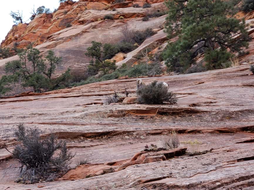 image n.25 of Small Group Tour Zion & Bryce Canyon National from Las Vegas activity in Utah, uploaded by supplier