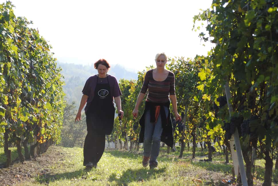 billede nr.4 af aktiviteten BAROLO: GUIDET OPLYSNING TIL VINKÆLDEREN OG VINSMAGNING MED PRODUCENTEN i Barolo, uploadet af udbyder