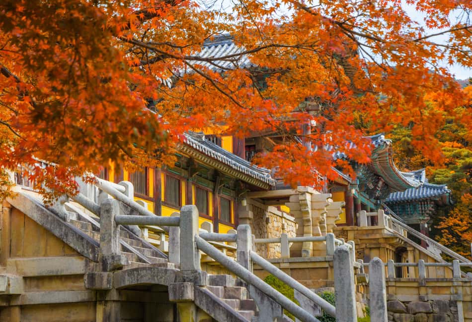 Image N°3 de Au départ de Busan : visite guidée d'une journée à Gyeongju, patrimoine mondial de l'UNESCO activité à Gyeongju, publiée par le prestataire