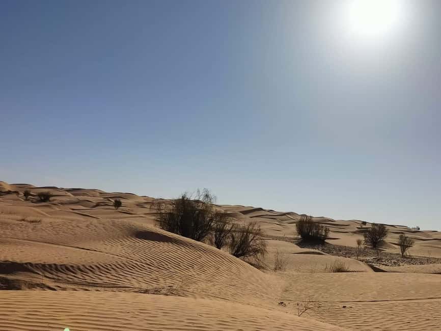 image n.28 of From Yasmine Hammamet/Kantaoui: 2-Day Sahara Tour with Meals activity in Tozeur Governorate, uploaded by supplier