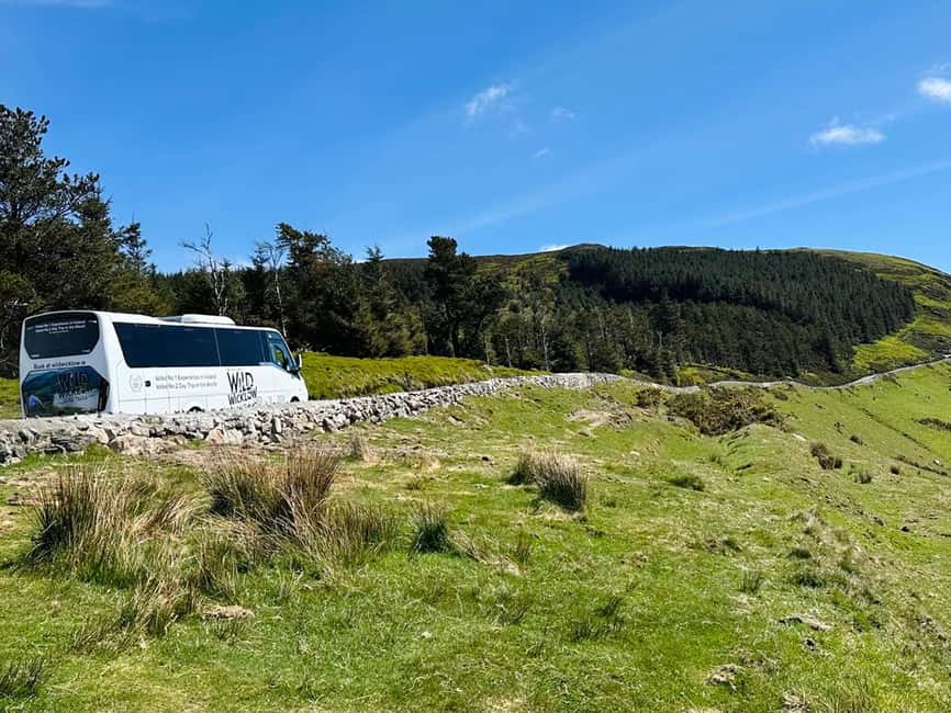 image n.12 of From Dublin: Wild Wicklow Mountains and Glendalough Tour activity in Dublin, uploaded by supplier