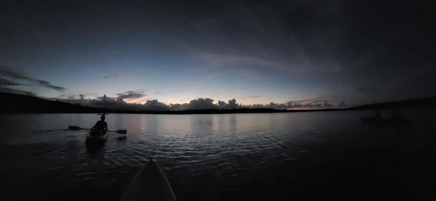 Obraz nr 9 z atrakcji San Juan: Bioluminescencyjny nocny spływ kajakowy po zatoce Laguna Grande w San Juan, przesłany przez organizatora