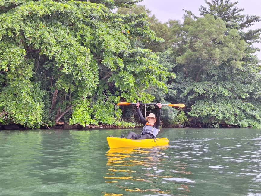 image n.3 of Round Ketam Kayaking at Pulau Ubin activity in Pahang, uploaded by supplier