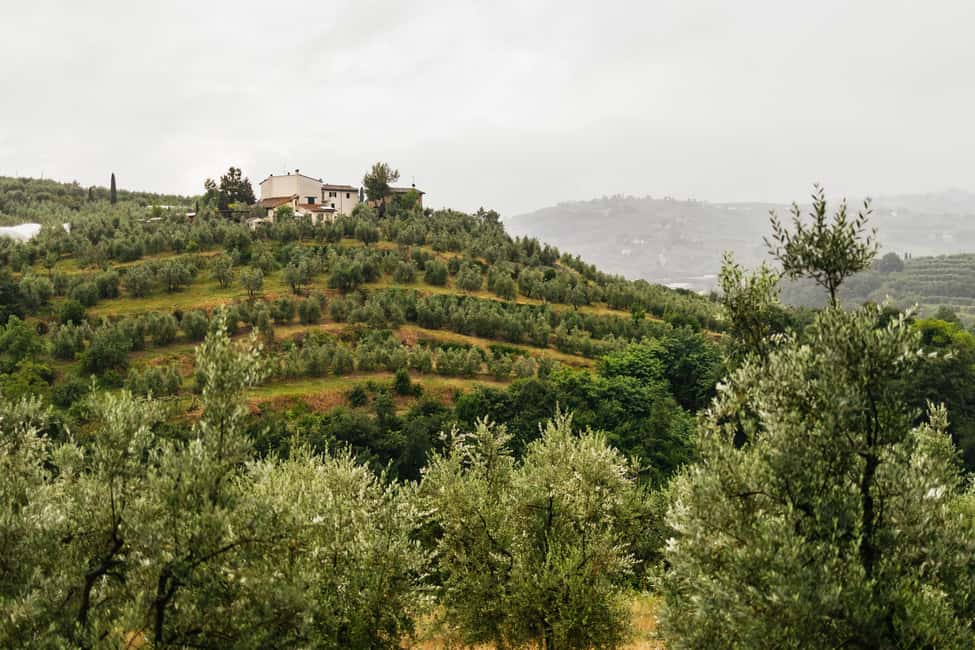 image n.4 of Florence: Countryside Vintage Fiat 500 Driving Tour activity in Florence, uploaded by supplier