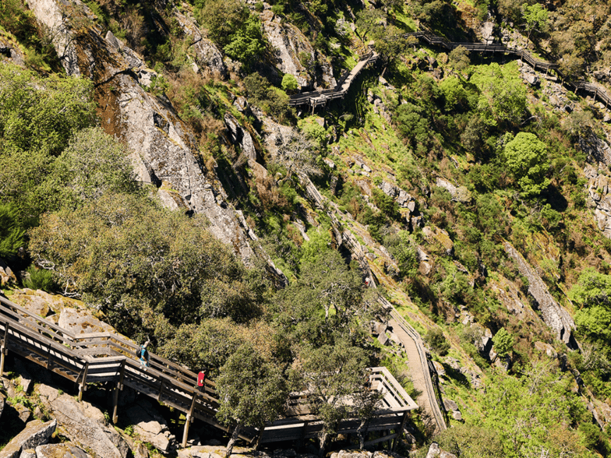 image n.16 of From Porto: Arouca 516 and Paiva Walkways Guided Day Trip activity in Arouca, uploaded by supplier