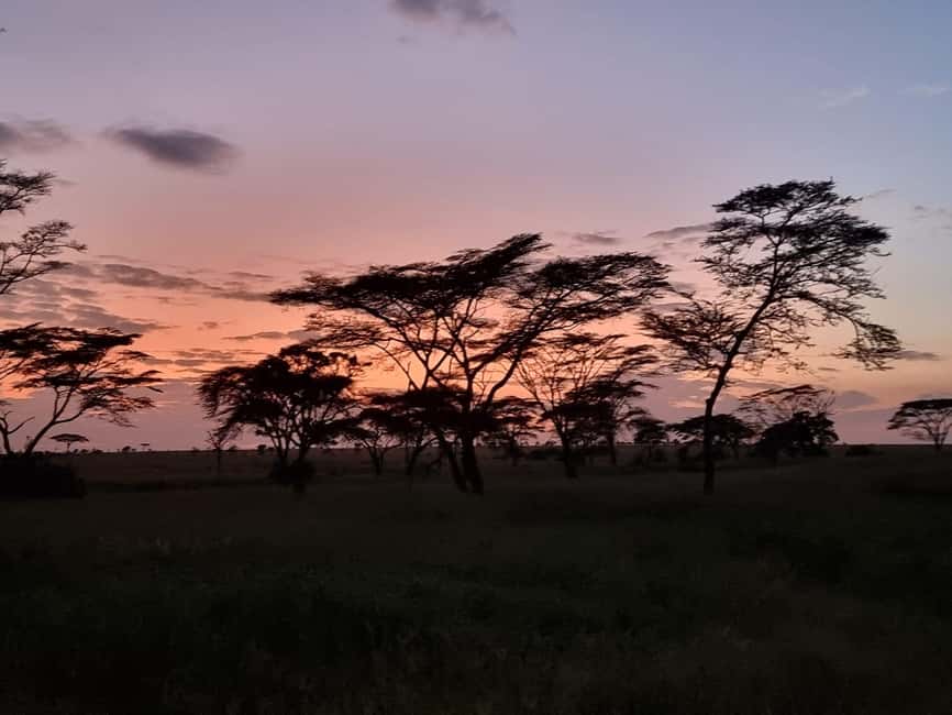 image n.15 of Serengeti: 3-Day Migration Safari with Hot Air Balloon Ride activity in Mara Region, uploaded by supplier