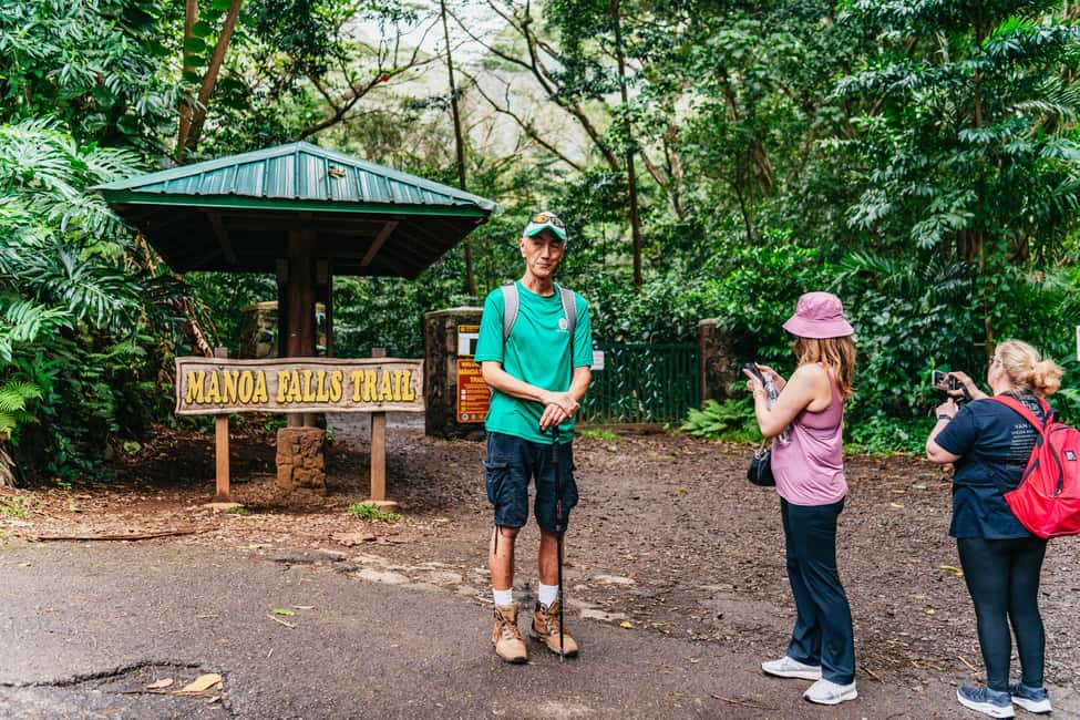 Immagine nº 8 di Oahu: Escursione alla cascata Manoa Falls con pranzo e trasferimenti attività a Honolulu, caricata dal fornitore