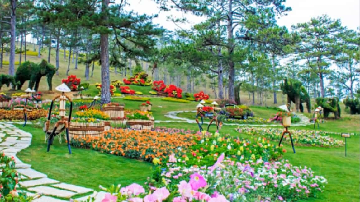 image n.13 of Nha Trang: Full of 3-Days Discovery Nha Trang Top Site activity in Dalat, uploaded by supplier