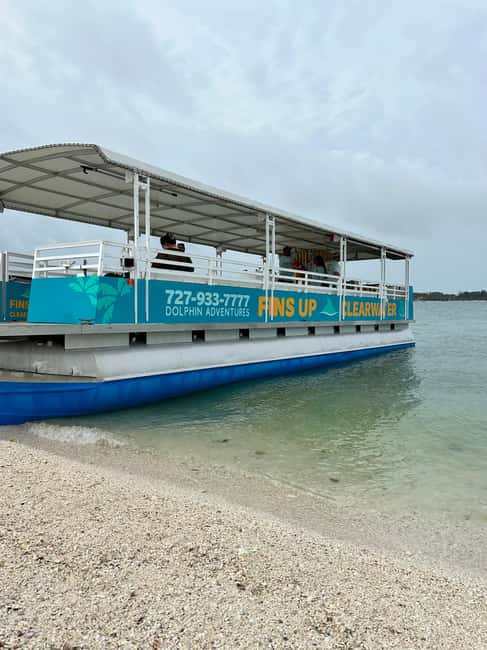 bild nr.9 av Clearwater Beach: Kryssning med delfiner och sandbankar på öar aktivitet i Clearwater, uppladdad av arrangören