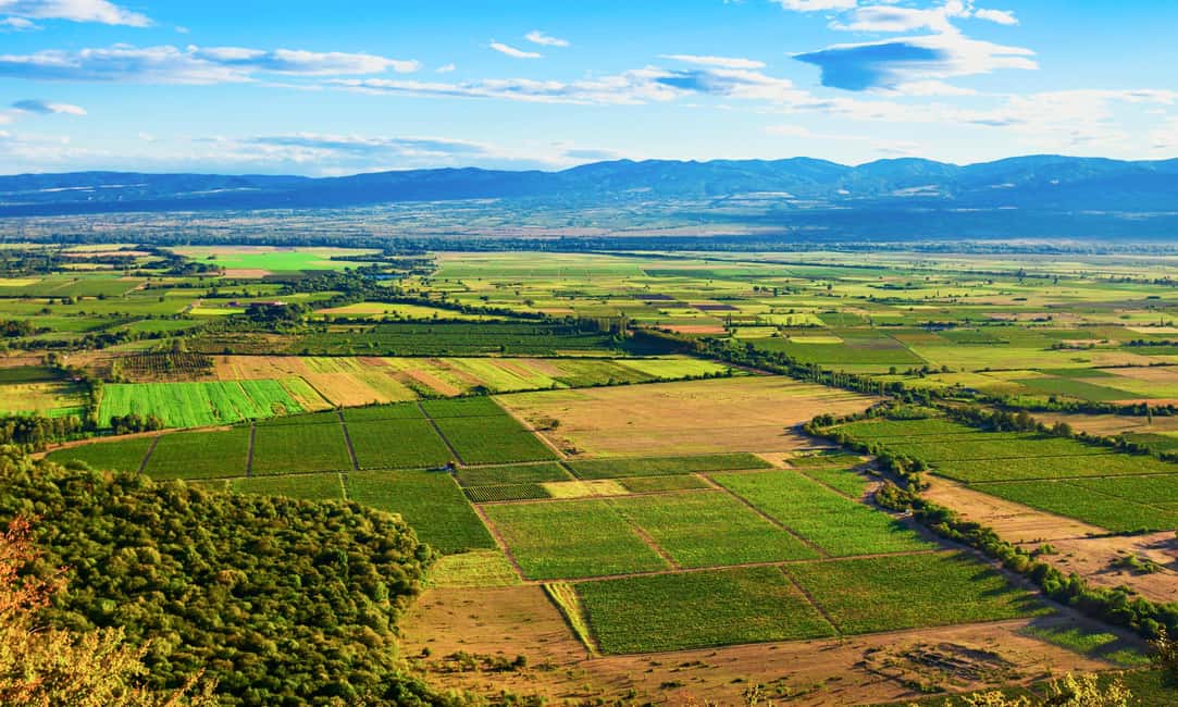 image n.11 of From Tbilisi: Kakheti Wine Region Tour with 9 Wine Tastings activity in Sighnaghi, uploaded by supplier