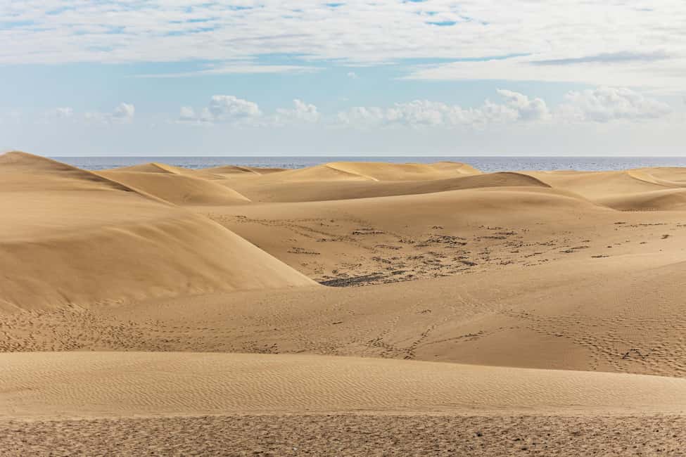image n.16 of From Las Palmas: Highlights of Gran Canaria Day Tour activity in Lomo Quiebre, uploaded by supplier