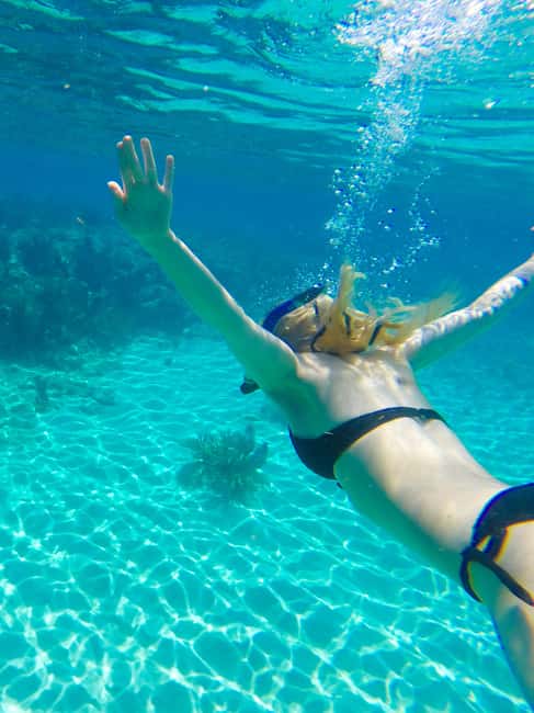 imagen n.º 11 de Desde Miami Excursión de un día a Cayo Hueso con narración actividad en Cayo Hueso, subida por el proveedor
