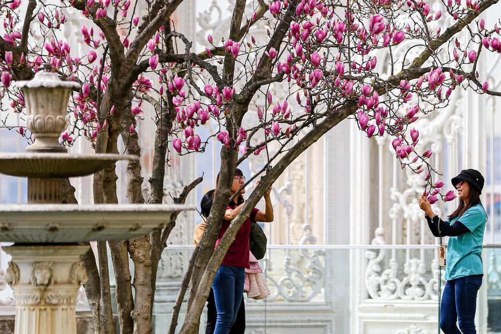 image n.7 of Istanbul: Dolmabahce Palace and Harem Fast-Track & Audio activity in Istanbul, uploaded by supplier