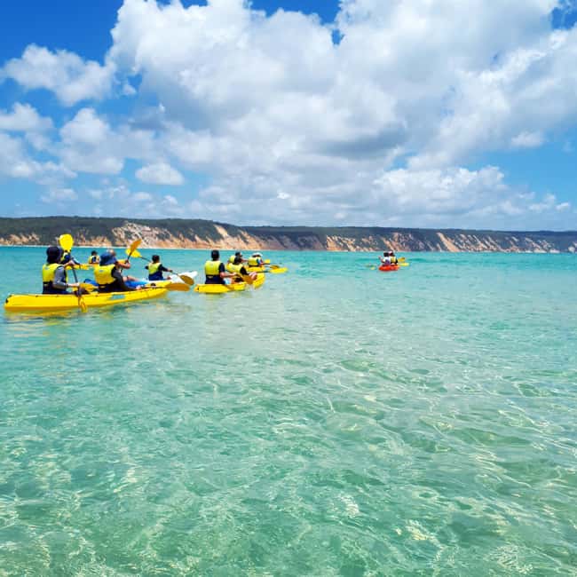 Image N°9 de Excursion en kayak à la rencontre des dauphins et visite du parc national en 4X4 sur la plage (privée) activité à Région de Gympie, publiée par le prestataire