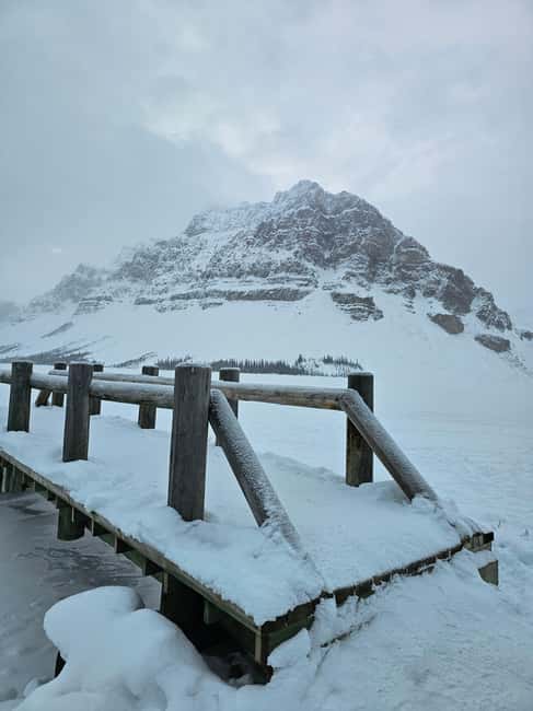 image n.13 of From Canmore/Banff: Icefields Parkway & Abraham Lake Bubbles activity in Alberta, uploaded by supplier