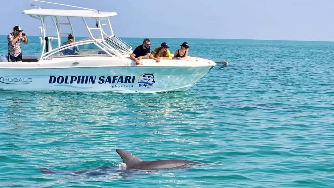 imagen n.º 5 de Delfines y snorkel en Cayo Hueso actividad en Estados Unidos, subida por el proveedor