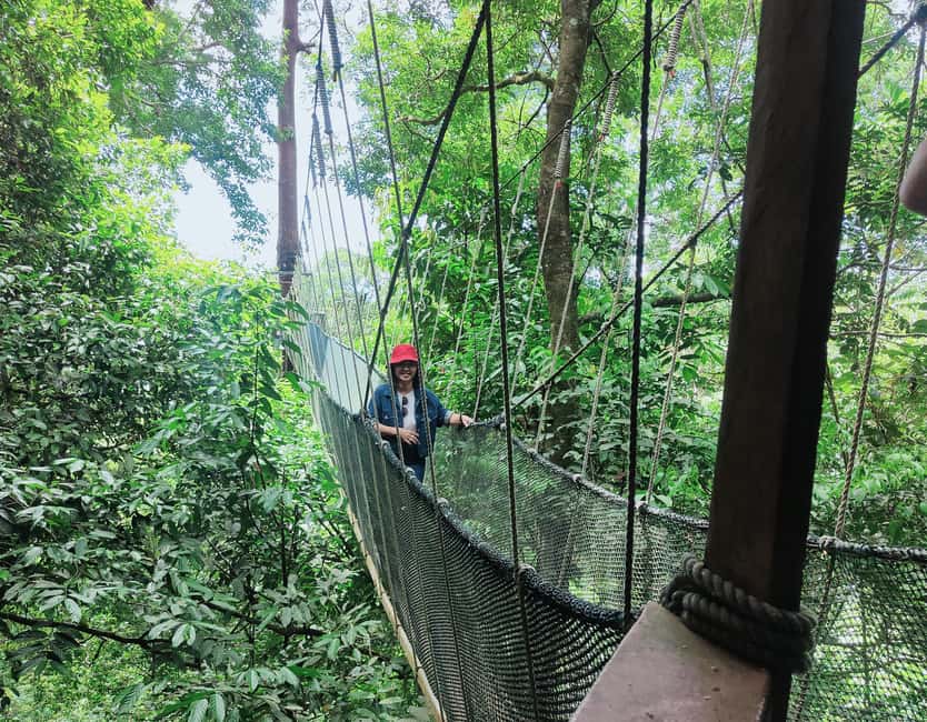 billede nr.3 af aktiviteten Kota Kinabalu: Poring Hot Spring og dagsudflugt til Kinabalu Park i Kota Kinabalu, uploadet af udbyder