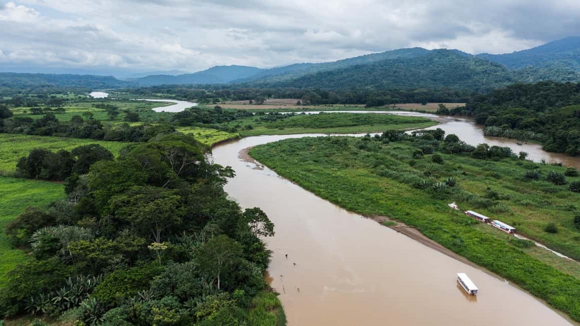 image n.13 of Tarcoles River: Jungle Crocodile Safari & Bird Watching Tour activity in San José, Costa Rica, uploaded by supplier