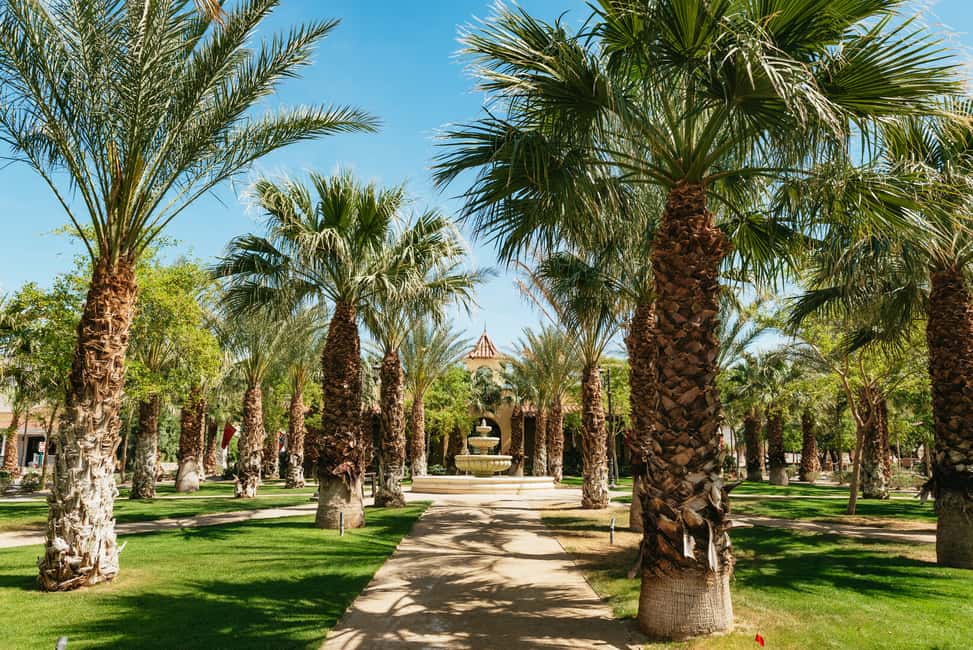 image n.27 of Death Valley NP Full-Day Small Groups Tour from Las Vegas activity in Furnace Creek, California, uploaded by supplier