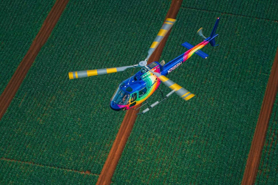Bild Nr. 13 von Oahu: Helikopter Tour mit ein- oder ausgeschalteten Türen Aktivität in Hawaii, hochgeladen vom Anbieter