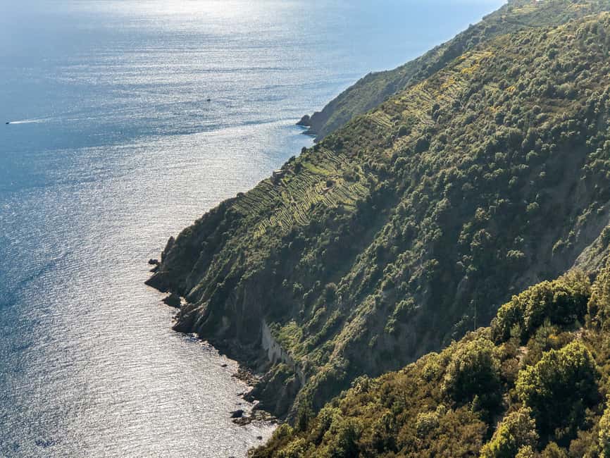Immagine nº 4 di Da La Spezia: gita in barca alle Cinque Terre con tempo libero a terra attività a Porto Venere, caricata dal fornitore