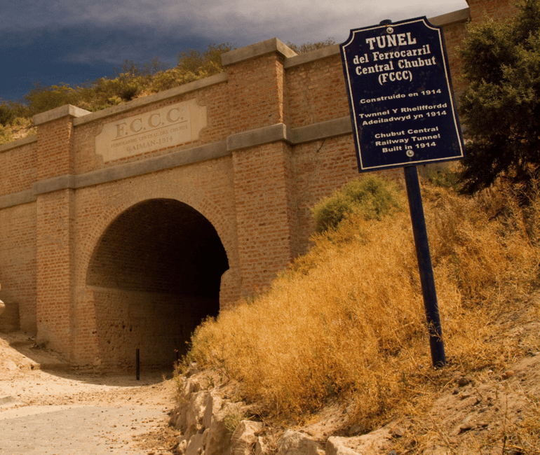 Bild Nr. 8 von Tal + Paläontologisches Museum für Kreuzfahrtpassagiere Aktivität in Chubut Provinz, hochgeladen vom Anbieter