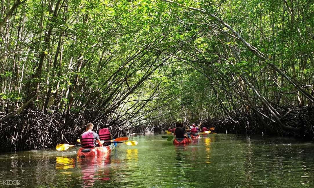 image n.1 of Ko Lanta: Half-Day Mangrove Kayaking Tour with Lunch activity in Tung Yee Peng, uploaded by supplier
