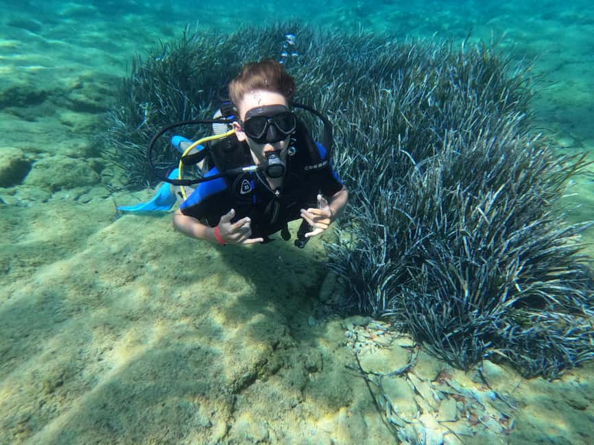 image n.19 of Heraklion: Scuba Diving Experience for Beginners activity in Agia Pelagia, uploaded by supplier