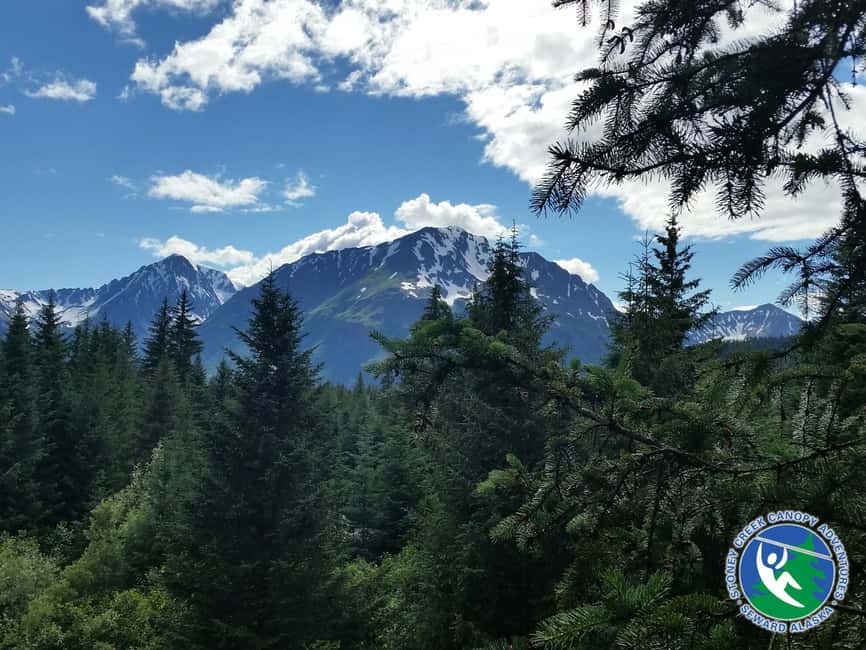 image n.2 of Seward: Stoney Creek Canopy Tour with Zipline activity in Seward, uploaded by supplier