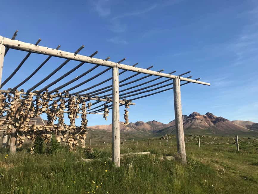 bild nr.6 av Utflykt med lunnefågel och Gufufoss vattenfall från Seydisfjordur hamn aktivitet i Island, uppladdad av arrangören