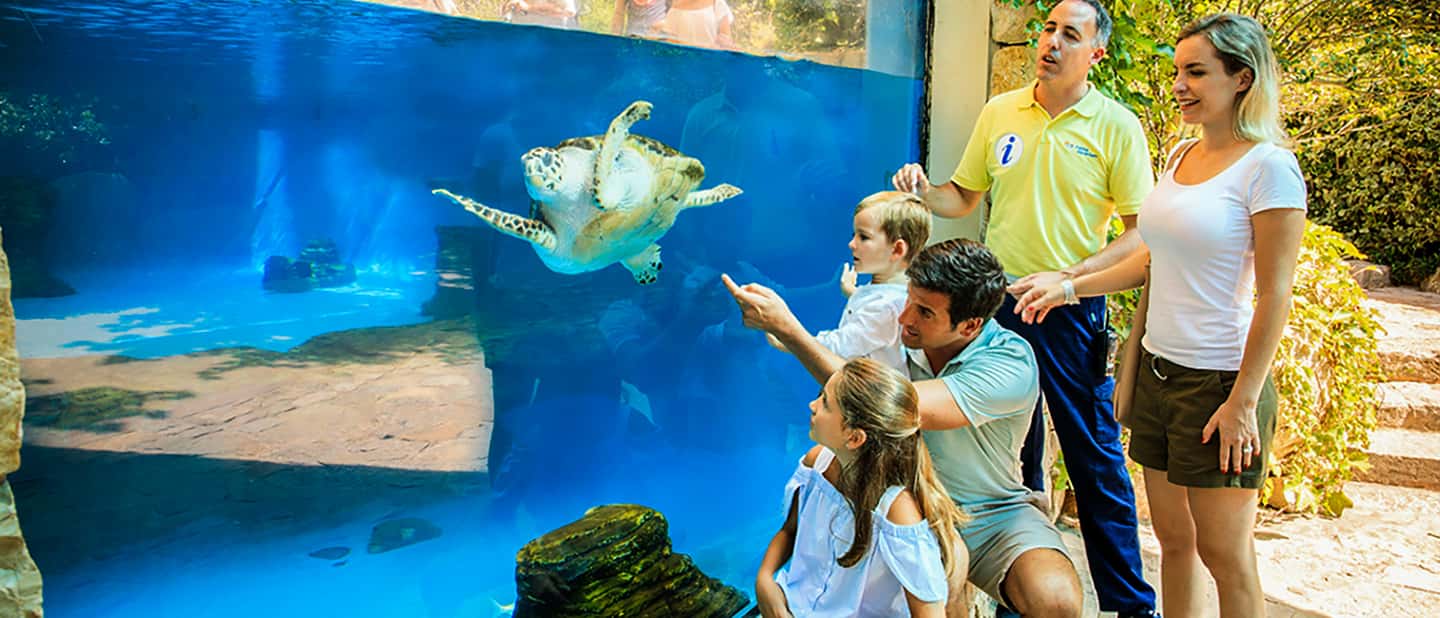 afbeelding n.13 van Mallorca: Toegangbewijs Palma Aquarium met Optionele 3D Bioscoop activiteit in Palma de Mallorca, geüpload door aanbieder